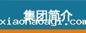 集团简介