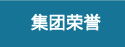 集团荣誉