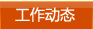 工作动态