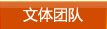 文体团队